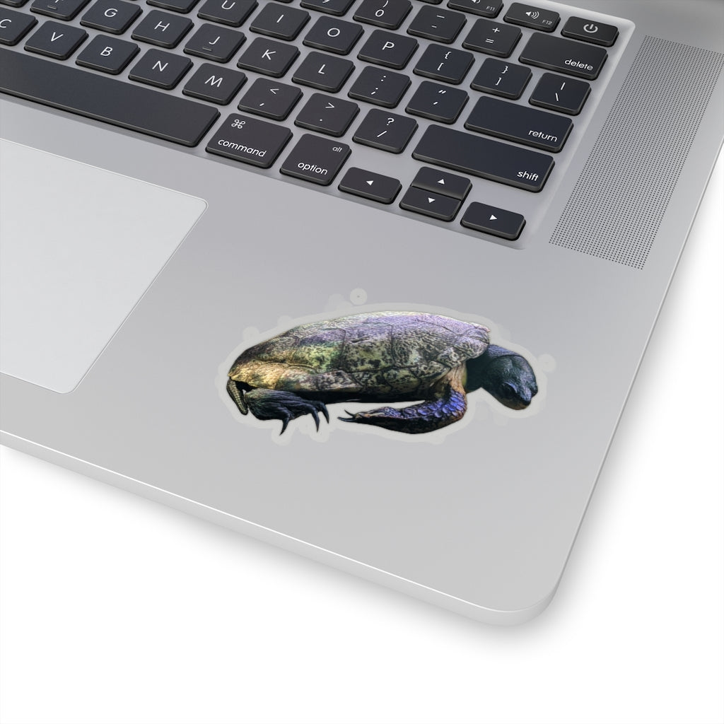 A collection of Turtle Kiss-Cut Stickers showcasing various custom shapes and sizes, designed for indoor use with a peel-off backing.