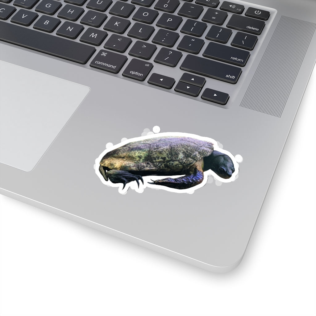 A collection of Turtle Kiss-Cut Stickers showcasing various custom shapes and sizes, designed for indoor use with a peel-off backing.