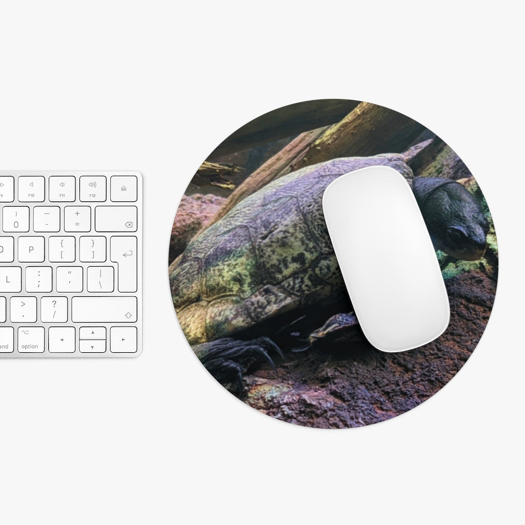 A colorful Turtle Mouse Pad in round and rectangular shapes, featuring a non-slip rubber bottom and vibrant designs for personalized workspace enhancement.