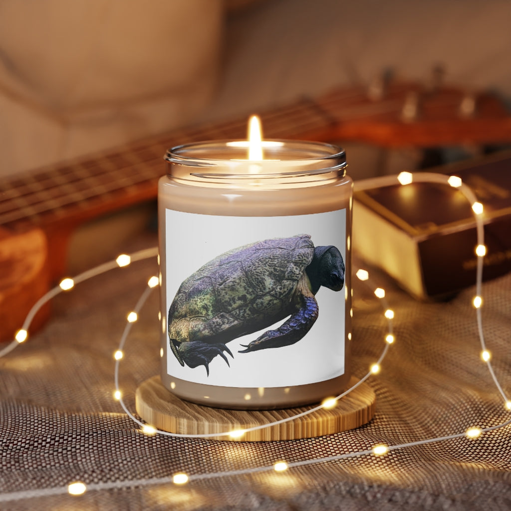 Turtle Scented Candle in a glass container, showcasing its warm Cinnamon Stick and Vanilla fragrances, hand-poured with vegan soy coconut wax.