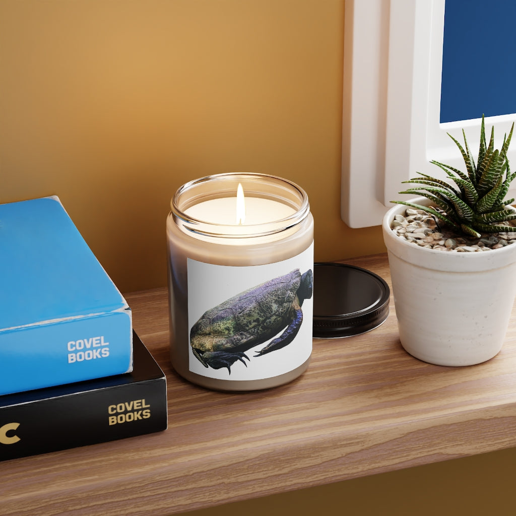 Turtle Scented Candle in a glass container, showcasing its warm Cinnamon Stick and Vanilla fragrances, hand-poured with vegan soy coconut wax.