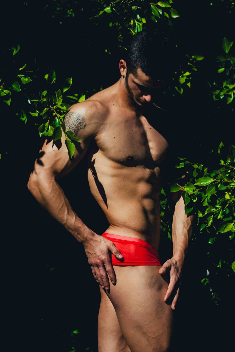 MOB Men's Sexy Sheer Hip Brief showcasing sheer mesh design, low rise cut, and contour pouch for support.