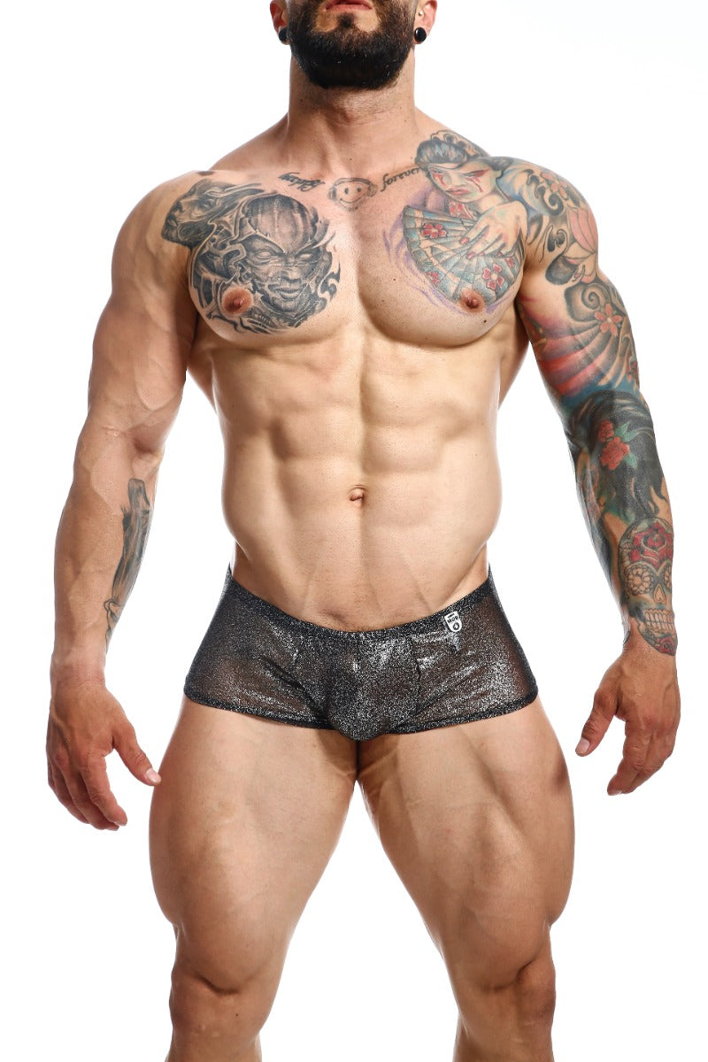 MOB Men's Sexy Sheer Hip Brief showcasing sheer mesh design, low rise cut, and contour pouch for support.