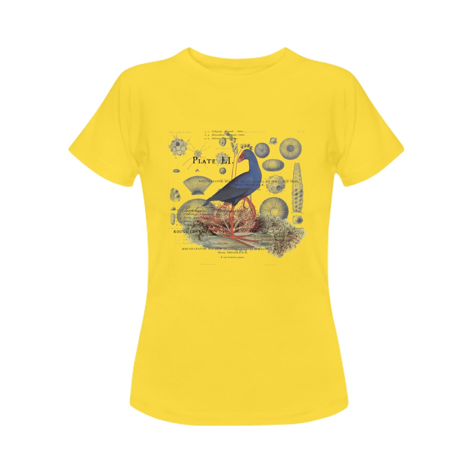 Blue Bird and Sea Urchins Women's Printed Cotton Tee Shirt featuring vintage nature illustrations.