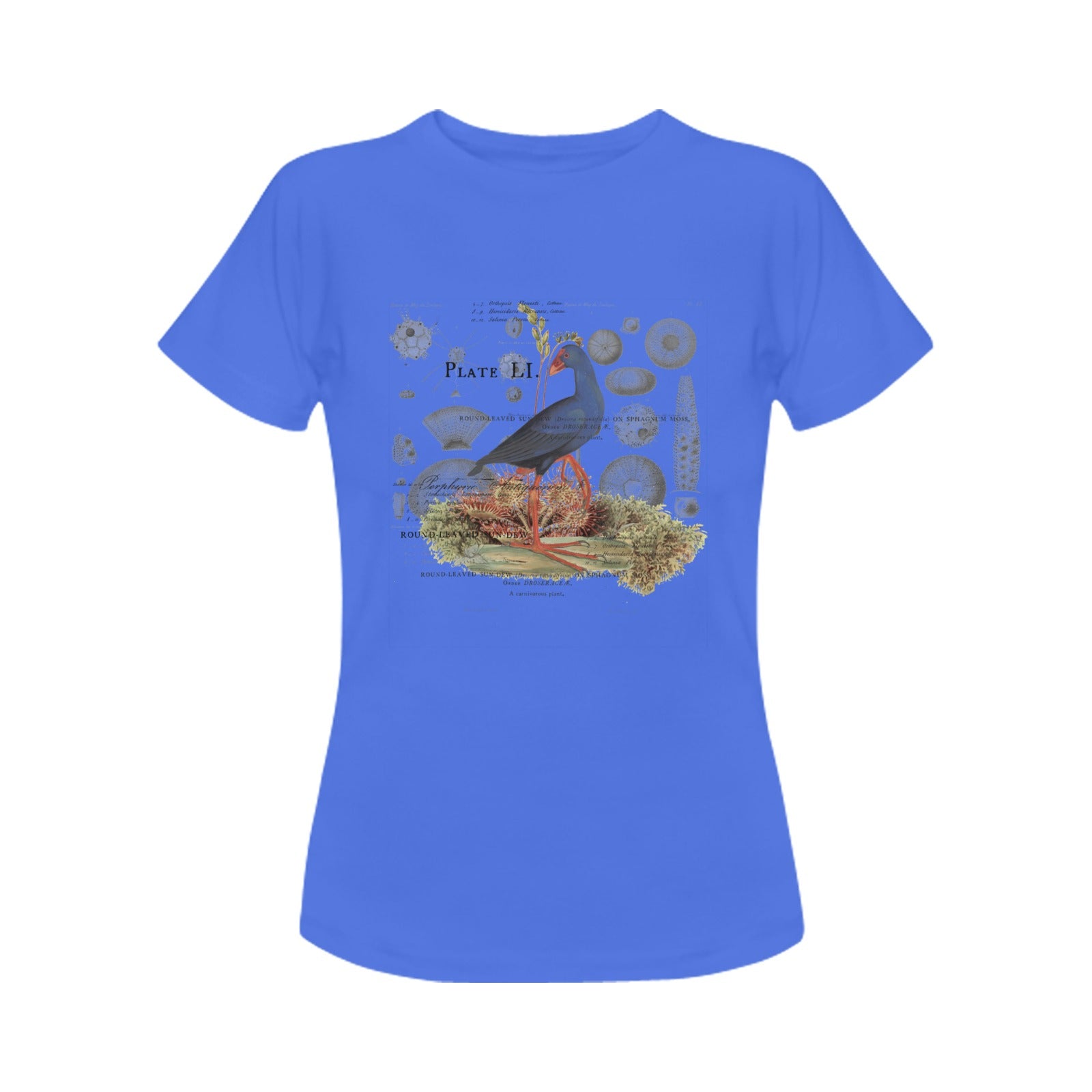 Blue Bird and Sea Urchins Women's Printed Cotton Tee Shirt featuring vintage nature illustrations.