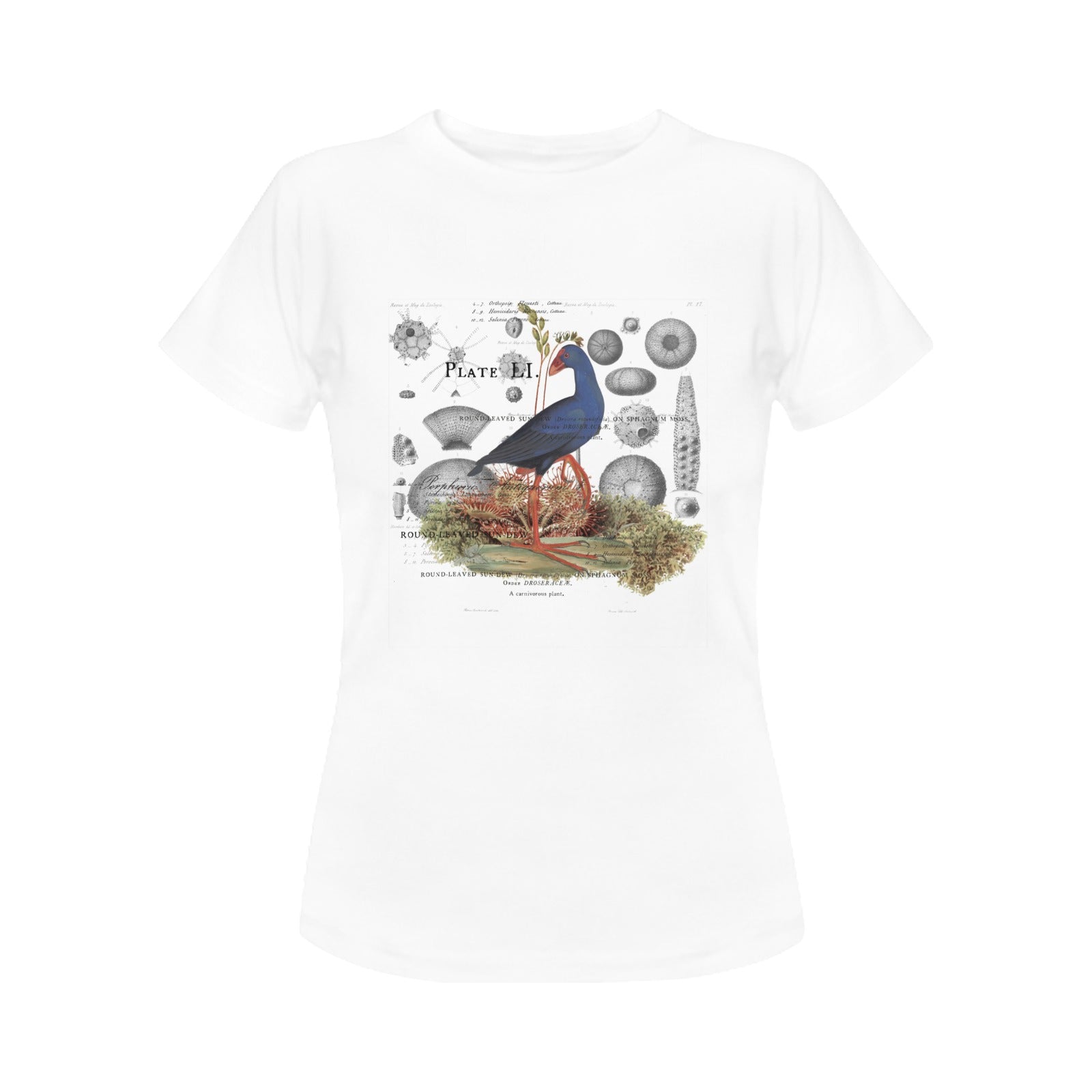 Blue Bird and Sea Urchins Women's Printed Cotton Tee Shirt featuring vintage nature illustrations.