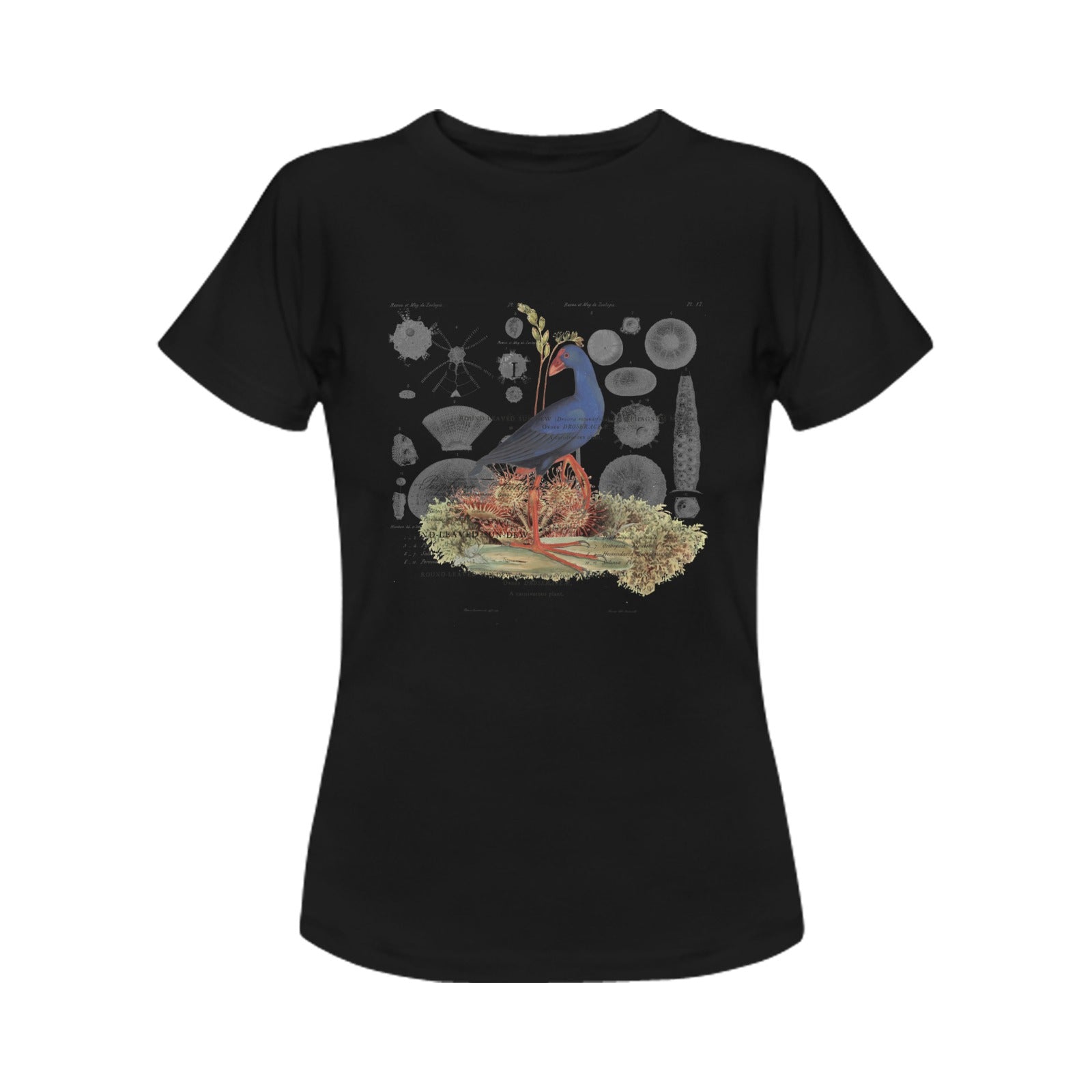 Blue Bird and Sea Urchins Women's Printed Cotton Tee Shirt featuring vintage nature illustrations.