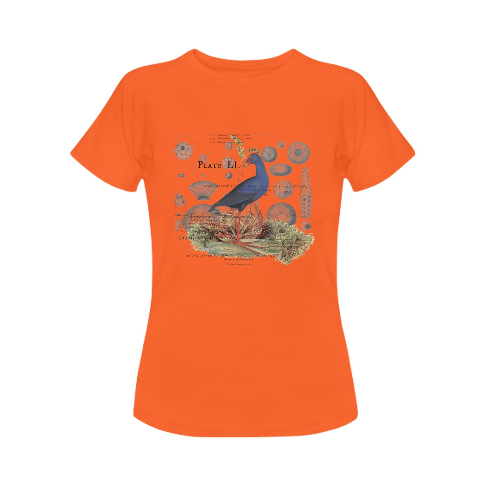 Blue Bird and Sea Urchins Women's Printed Cotton Tee Shirt featuring vintage nature illustrations.