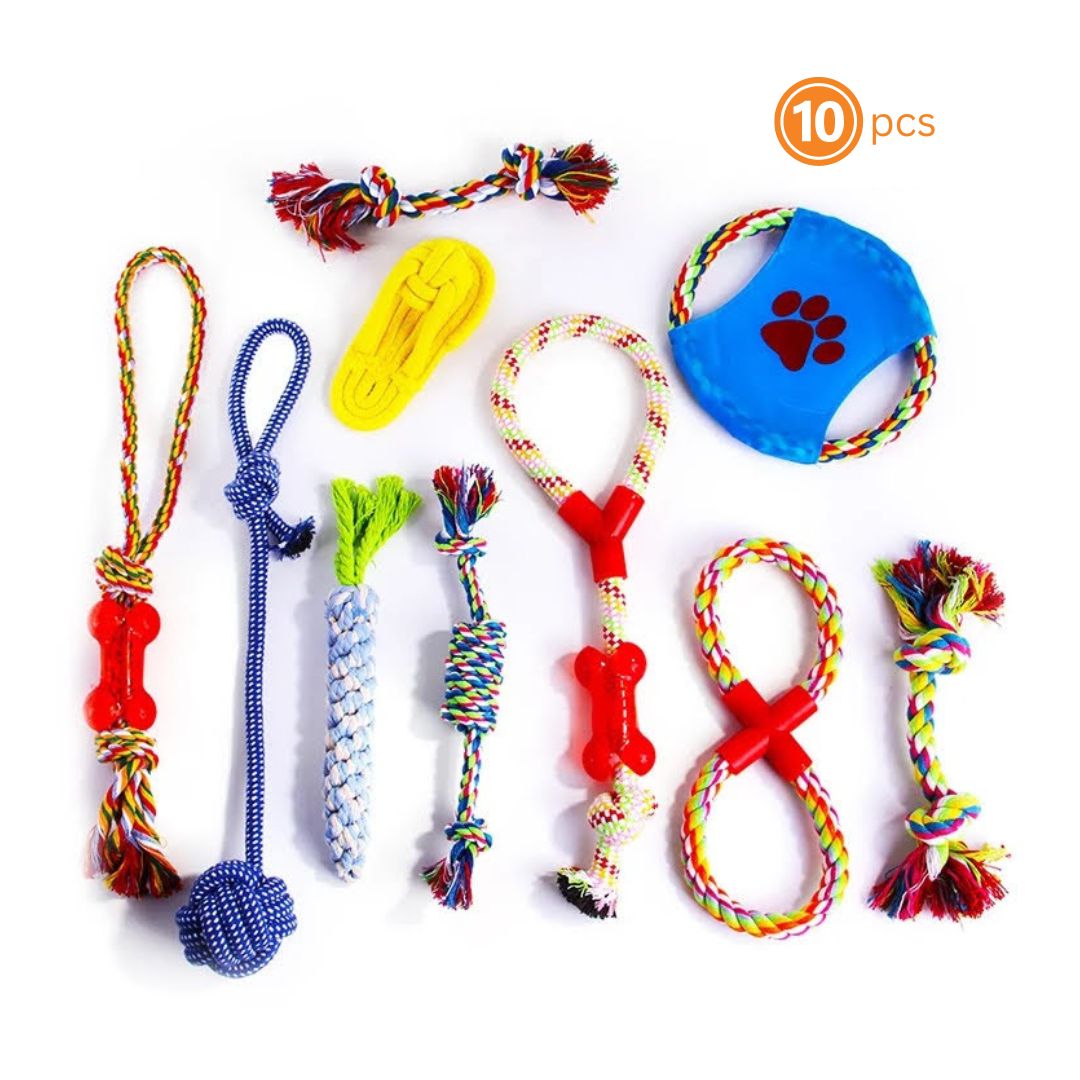 A colorful assortment of 10 braided cotton rope dog chew toys, showcasing various shapes and sizes, perfect for playful pups.