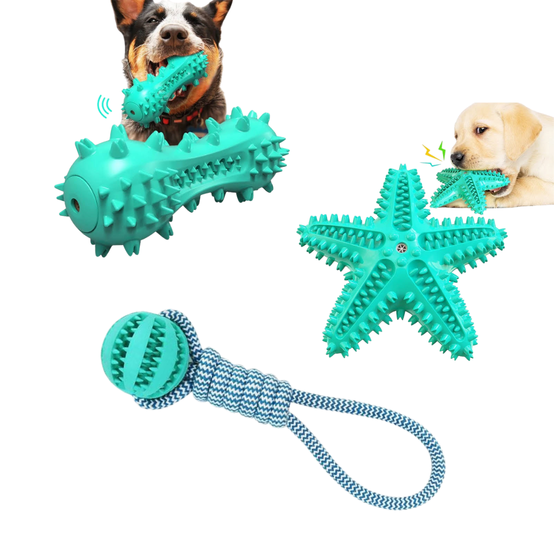 Three colorful squeaky toothbrush dog toys with cotton rope ball, designed for dental hygiene and play.