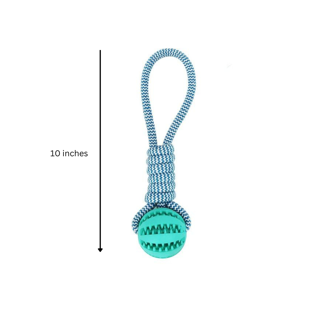 Three colorful squeaky toothbrush dog toys with cotton rope ball, designed for dental hygiene and play.