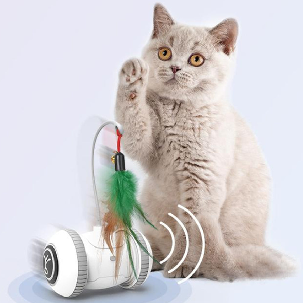 Interactive cat toy featuring interchangeable feather toys in white and grey, designed for indoor cats to engage in playful activities.