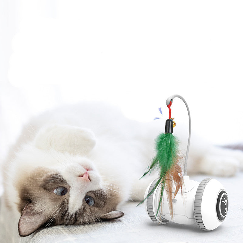 Interactive cat toy featuring interchangeable feather toys in white and grey, designed for indoor cats to engage in playful activities.