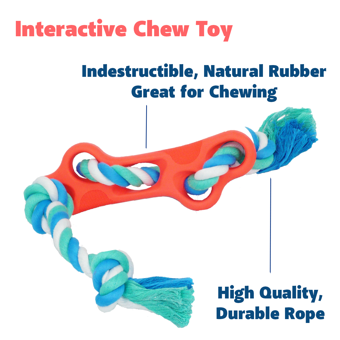 Colorful, durable rubber dog toy.