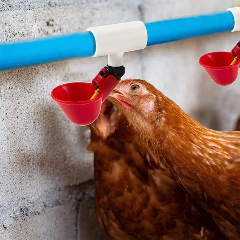 20 pieces of automatic chicken quail drinker bowl PVC tee fittings, designed for efficient poultry hydration.