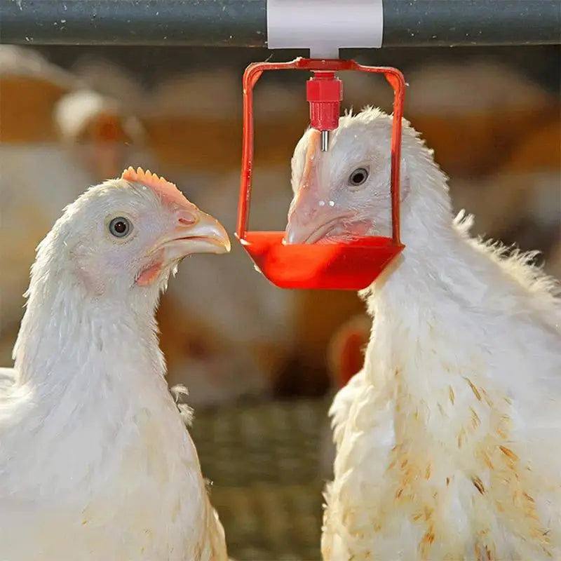 20 pieces of automatic chicken quail drinker bowl PVC tee fittings, designed for efficient poultry hydration.