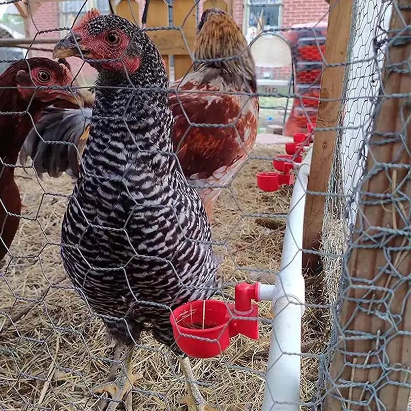 20 pieces of automatic chicken quail drinker bowl PVC tee fittings, designed for efficient poultry hydration.