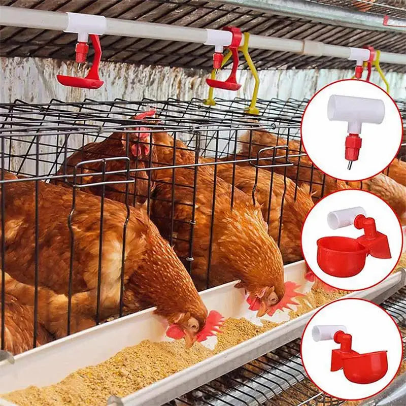 20 pieces of automatic chicken quail drinker bowl PVC tee fittings, designed for efficient poultry hydration.