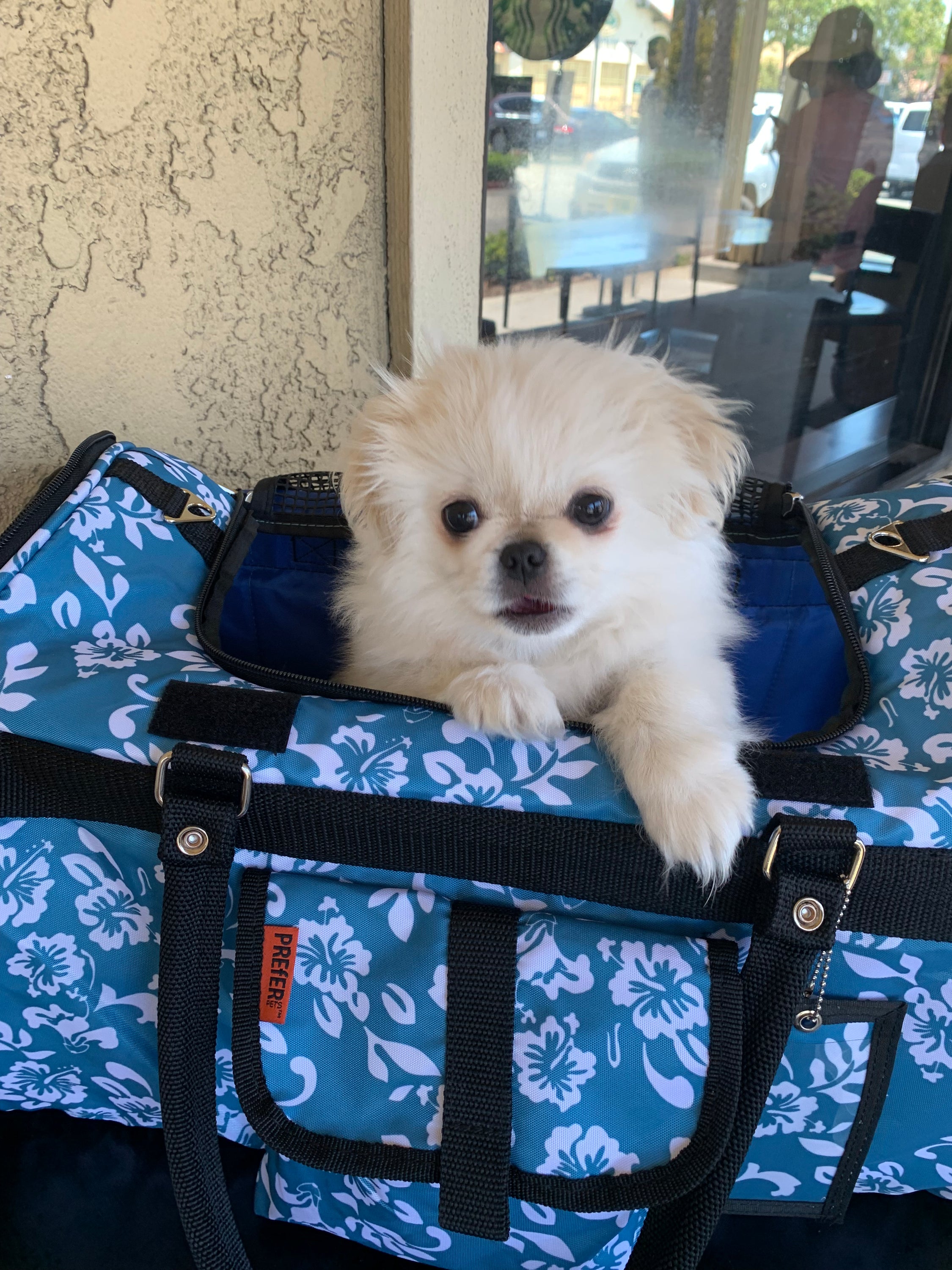 Prefer Pets 312 Hideaway™ Duffel Pet Carrier in stylish design with mesh ventilation and privacy covers.