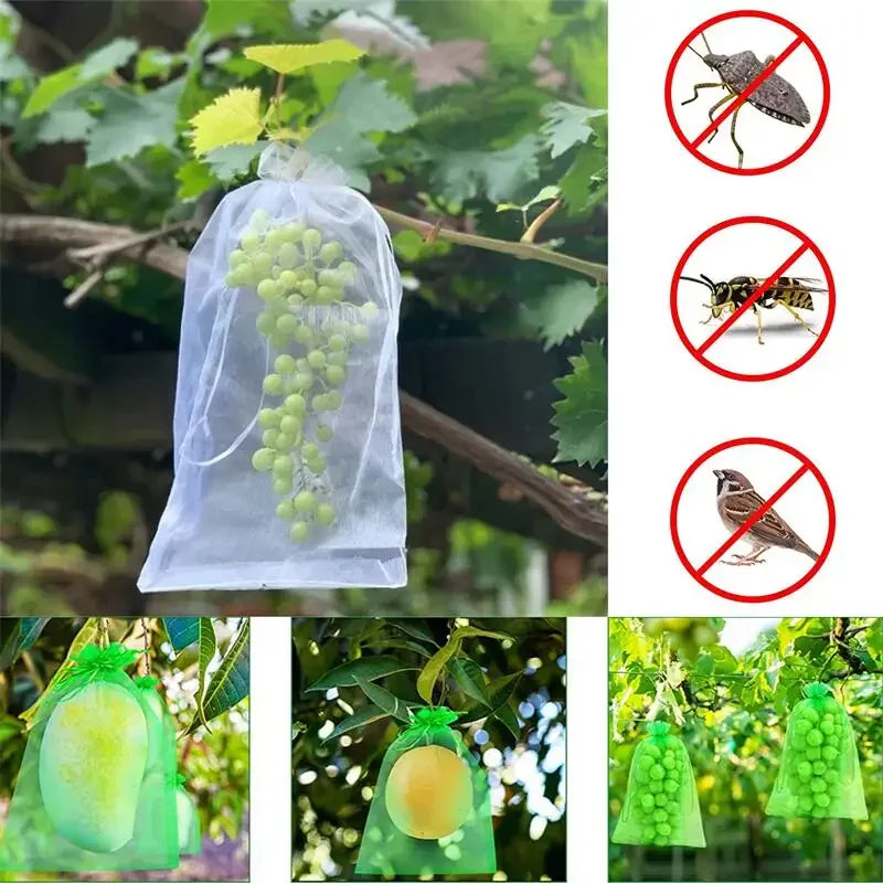 A collection of Grape Protection Bags made from durable organza, designed for pest control and plant growth observation.
