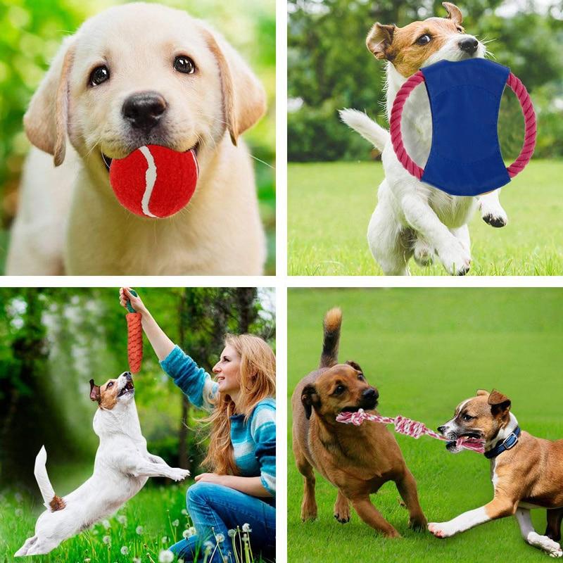 7 Pcs Interactive Dog Toy Kit featuring cotton rope balls and flying discs for dogs of all sizes.