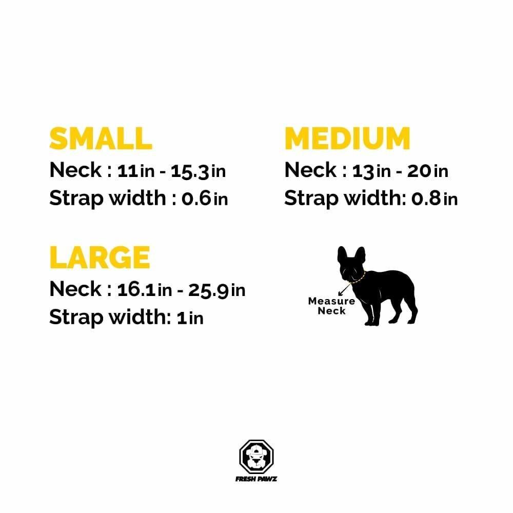 A colorful 90s Throwback dog collar featuring neoprene padding and a branded buckle, designed for comfort and style.