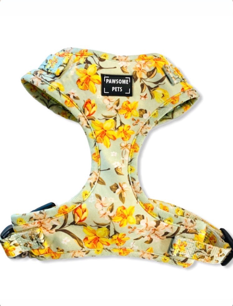 Adjustable pet harness featuring a vibrant Forsythia Flower design, suitable for dogs and cats.