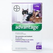 Advantage flea treatment for large cats, featuring a purple packaging with dosage information.