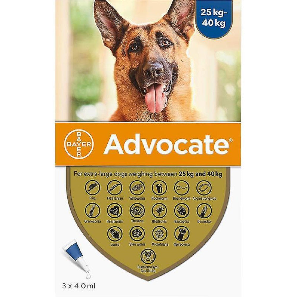 Advocate Flea and Heartworm Spot-on Treatment for Extra Large Dogs in packaging, showcasing the product designed for effective parasite control.