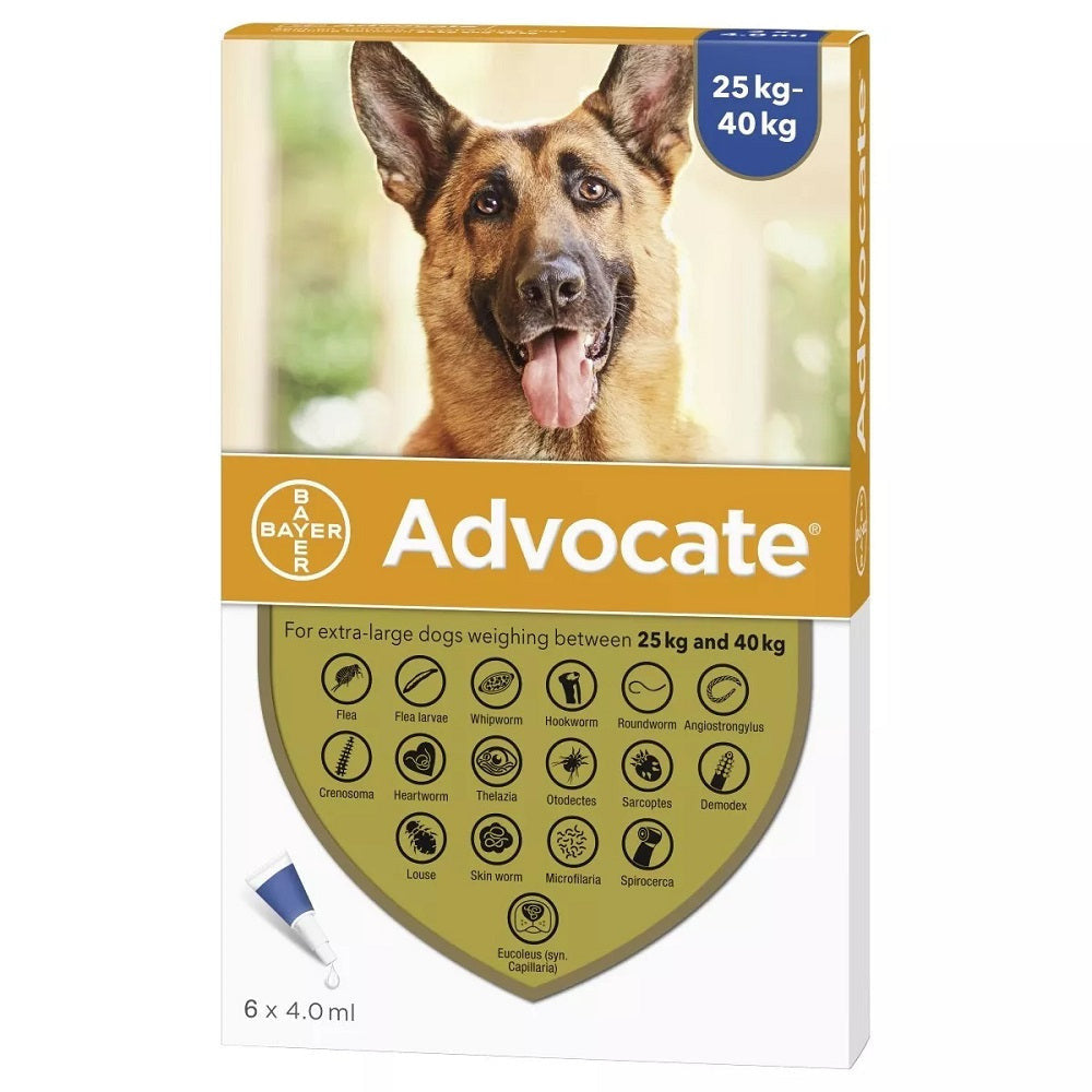 Advocate Flea and Heartworm Spot-on Treatment for Extra Large Dogs in packaging, showcasing the product designed for effective parasite control.