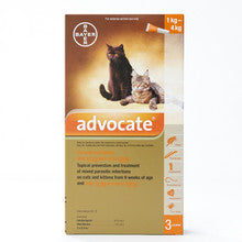 Advocate for Small Cats under 4Kg, 3-pack topical treatment for fleas and parasites, featuring easy application tube.