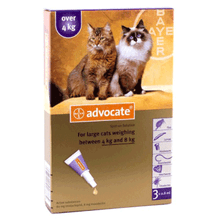 Advocate Large Cat 4-8kg 3 Pack, topical flea and parasite treatment for cats, featuring easy application tube.