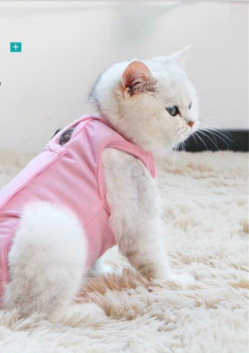 Comfortable after spay surgery clothes for female pets, designed for recovery with a flexible fit.