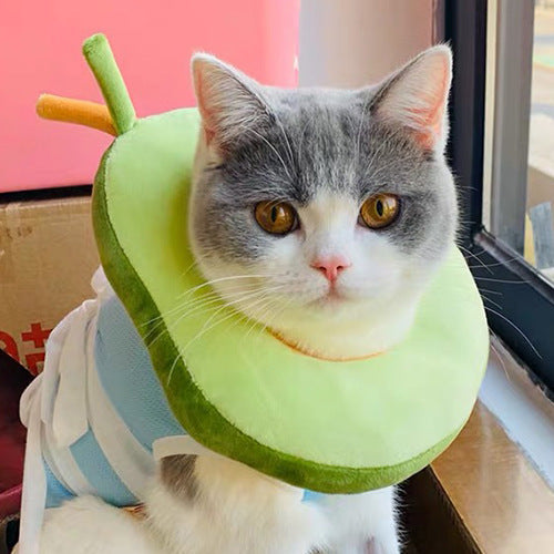 After Surgery Anti Bite Avocado Collar for pets, featuring a fun avocado design, adjustable straps, and durable material for comfort and protection.