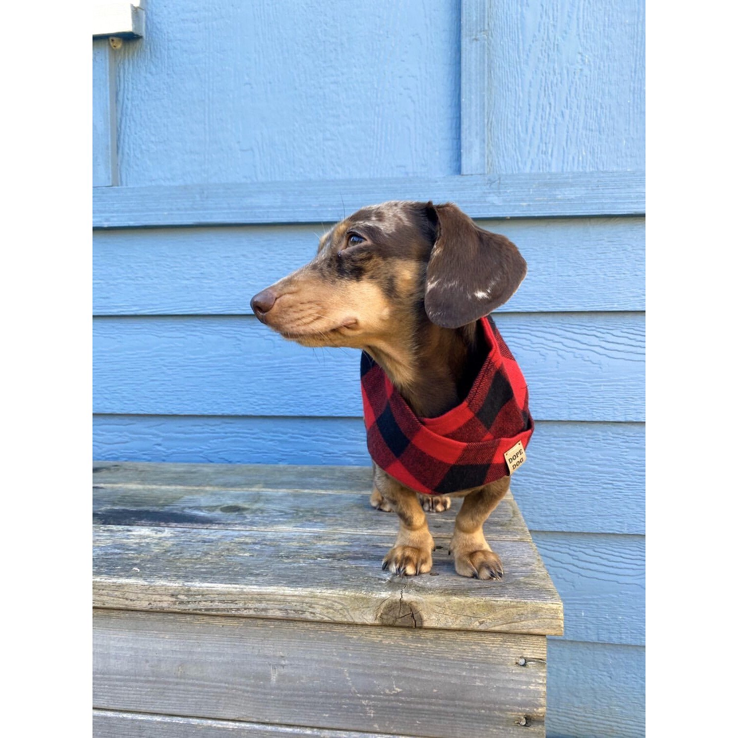 Cozy Al Borland Scarf in red buffalo plaid, perfect for dog moms and their pets, showcasing a stylish twisted neck design.