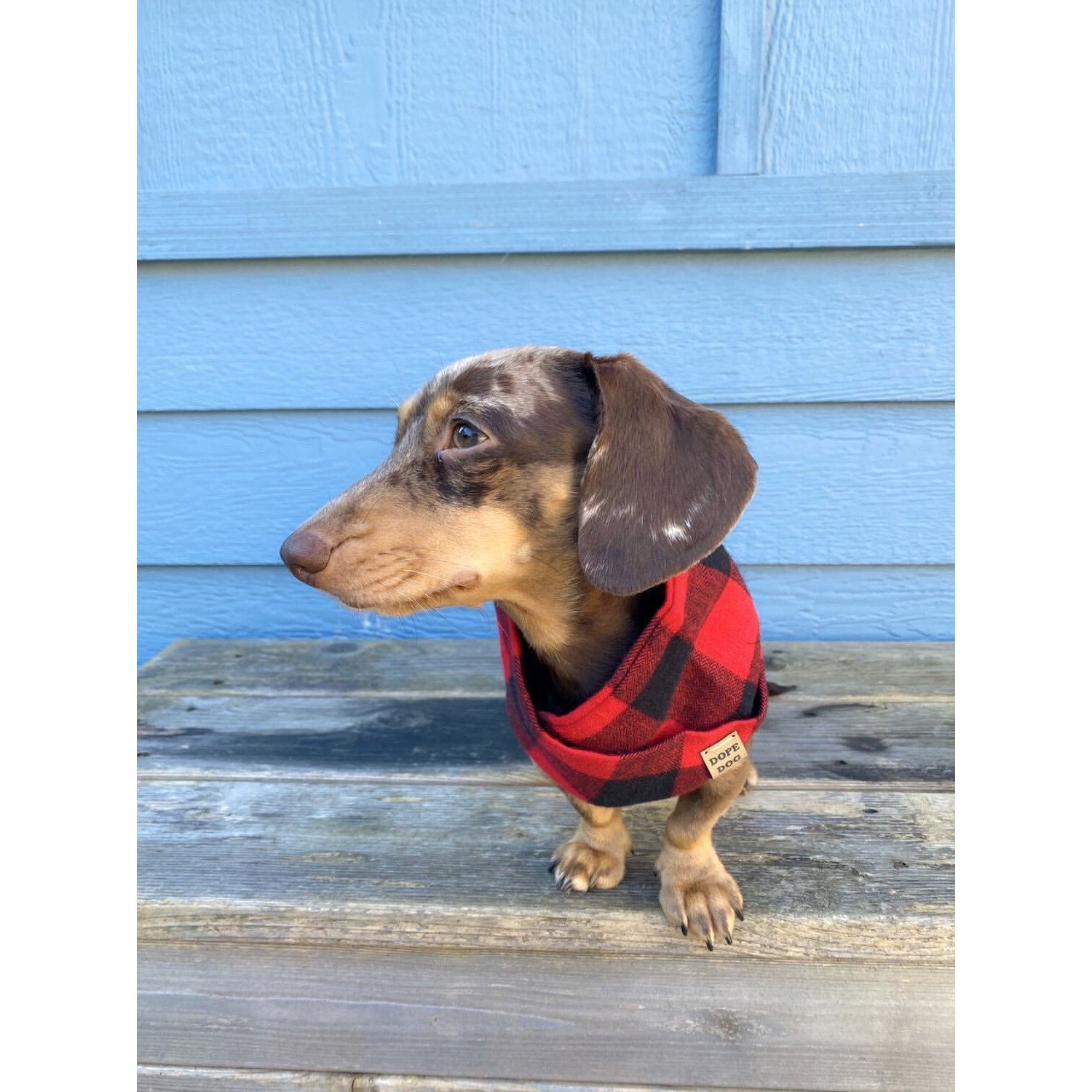 Cozy Al Borland Scarf in red buffalo plaid, perfect for dog moms and their pets, showcasing a stylish twisted neck design.