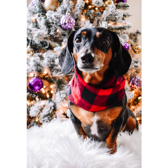 Cozy Al Borland Scarf in red buffalo plaid, perfect for dog moms and their pets, showcasing a stylish twisted neck design.
