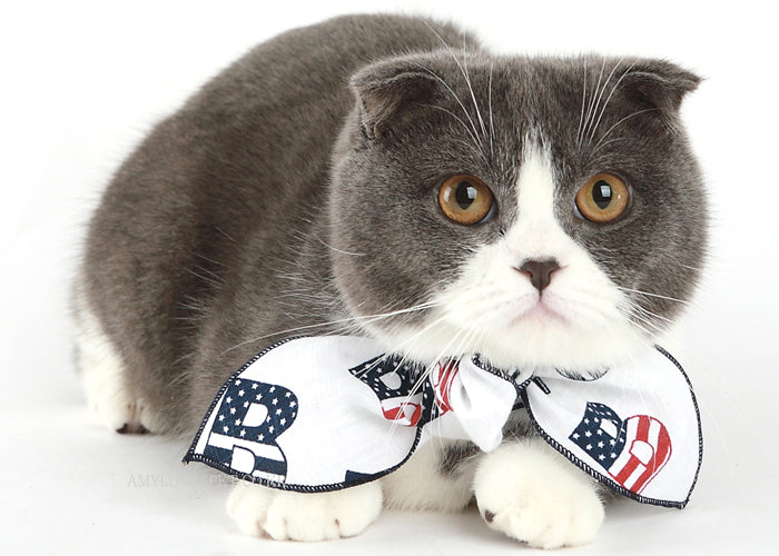 A stylish and breathable Alphabet Form-Scarf for pets, made from 100% handmade cotton in a mix of colors, perfect for summer wear.