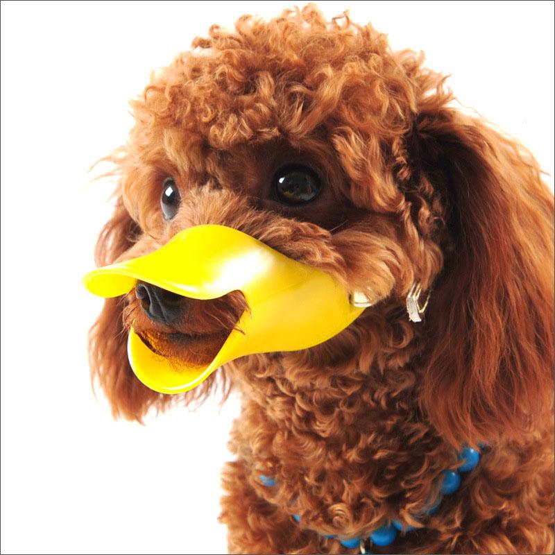 A cute yellow silicone duck muzzle designed for dogs, showcasing its soft material and adjustable straps for comfort.