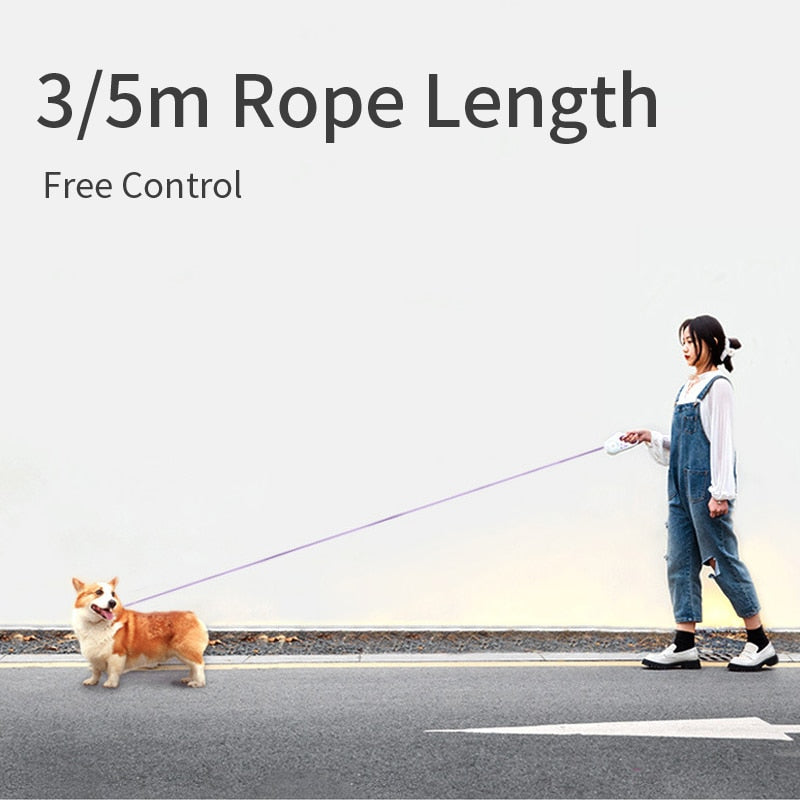 Automatic Retractable Lighting Dog Leash with built-in light and RGB ring, designed for safe night walks with pets.