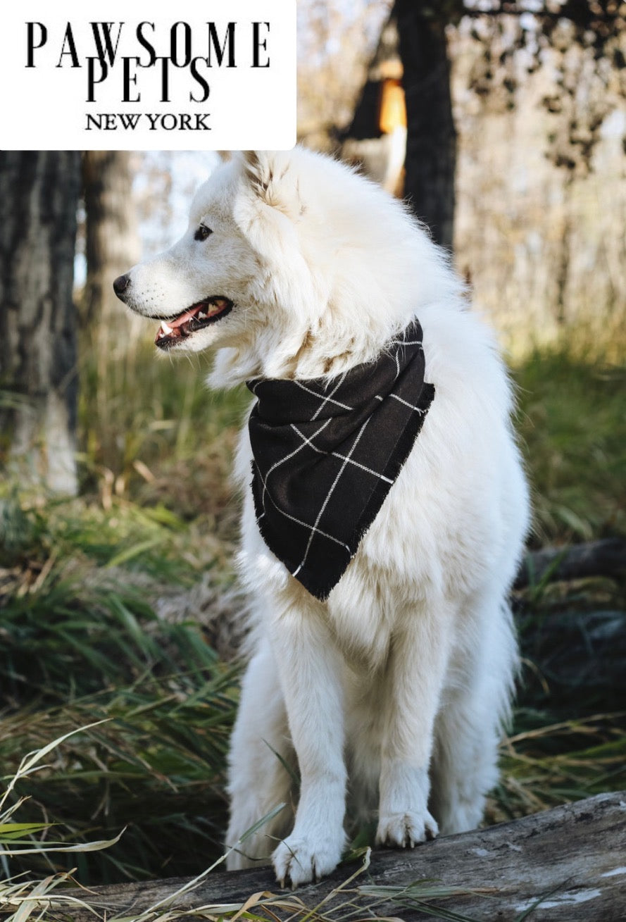 BANDANA - BETTY, a handmade cotton pet accessory featuring the Pawsome Pets logo, designed for comfort and style.