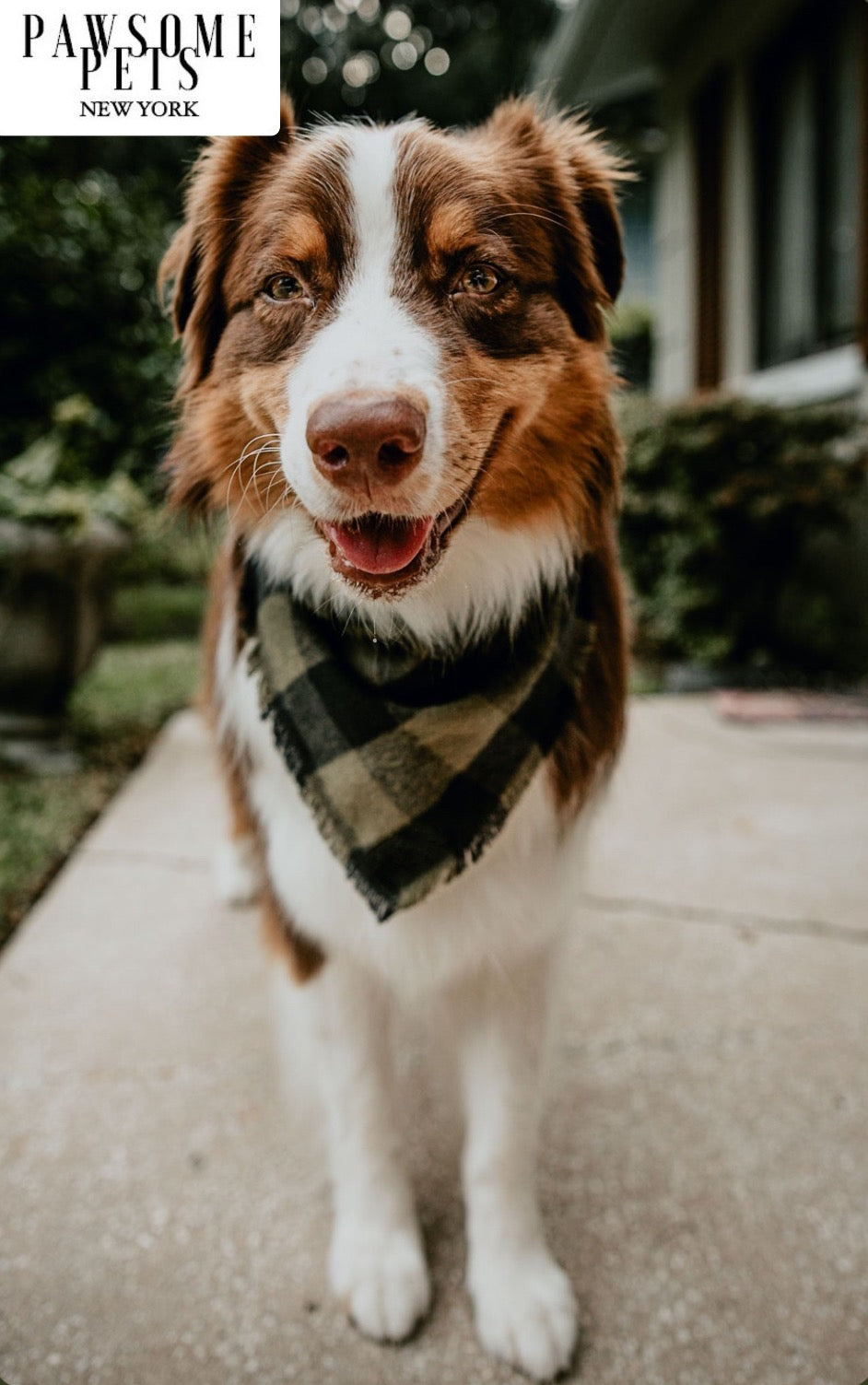 Evergreen Bandana for pets, handmade from 100% cotton with Pawsome Pets logo, showcasing a stylish square design.