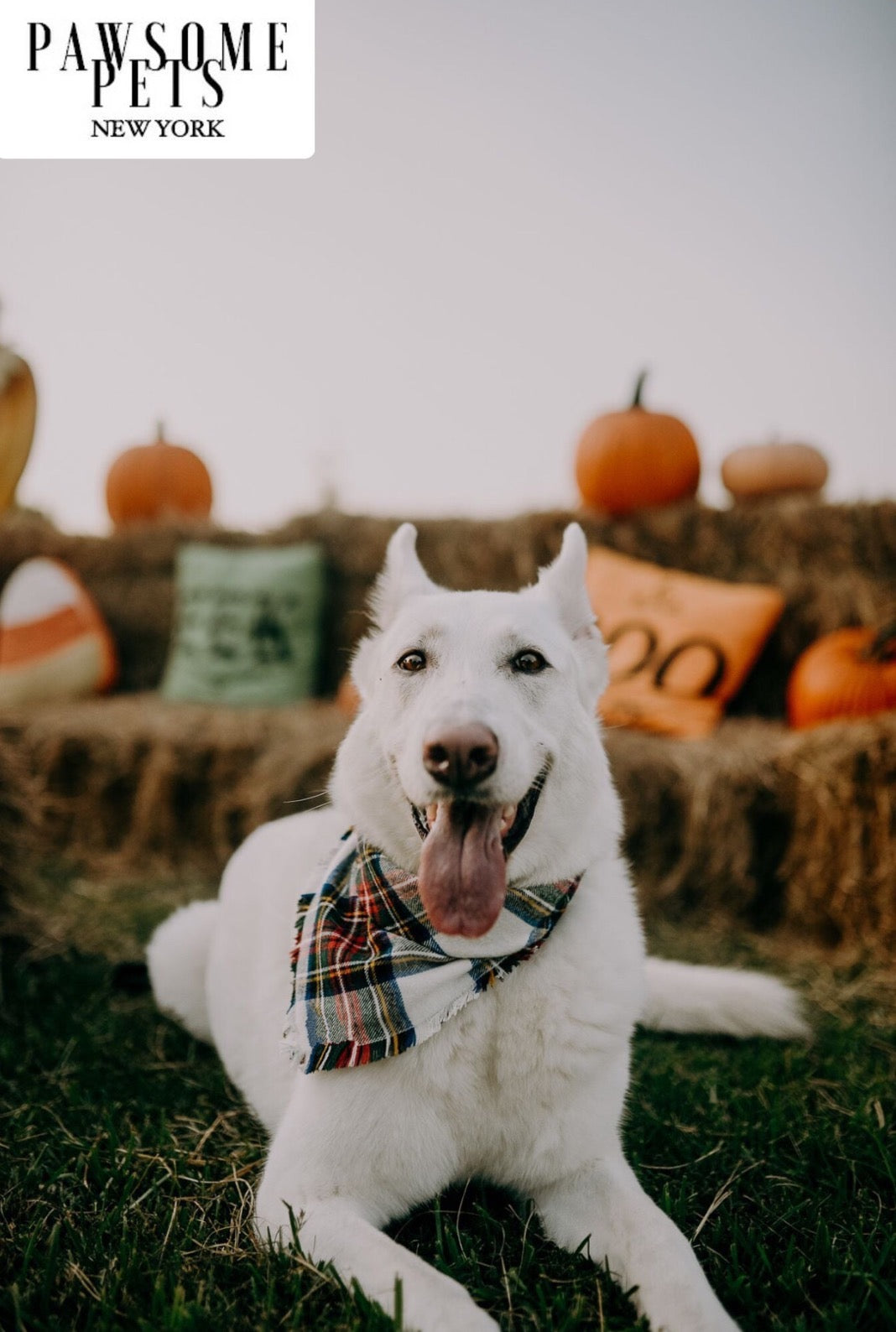 Handmade HOLLY bandana for pets, crafted from 100% cotton with Pawsome Pets logo, featuring a square design for adjustable fit.