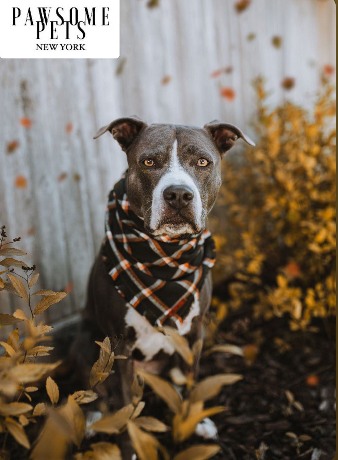 Handmade Juniper Bandana for pets, crafted from 100% cotton with Pawsome Pets logo.