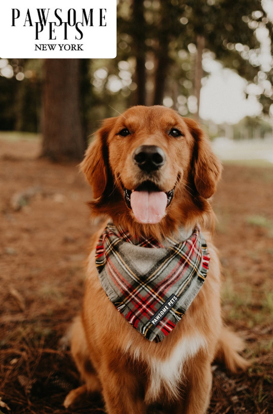 Handmade Noelle Bandana for pets, featuring Pawsome Pets logo on 100% cotton fabric, designed for comfort and style.