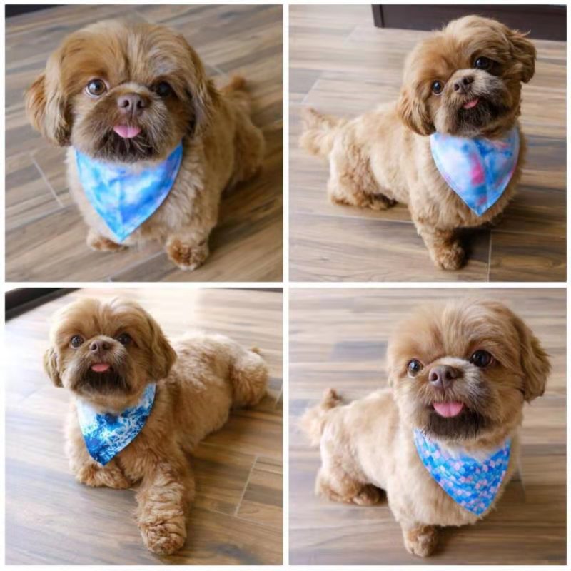 Ocean Blue Bandana for pets, handmade from 100% cotton with a faux leather logo patch, showcasing its vibrant color and stylish design.