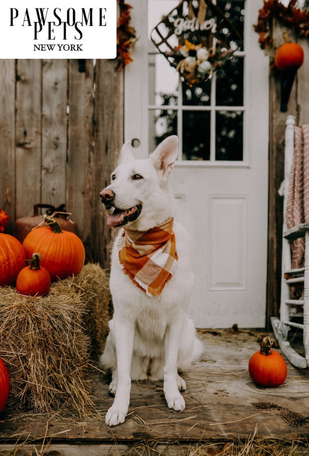 Handmade Pumpkin Bandana for pets, crafted from 100% cotton with Pawsome Pets logo.