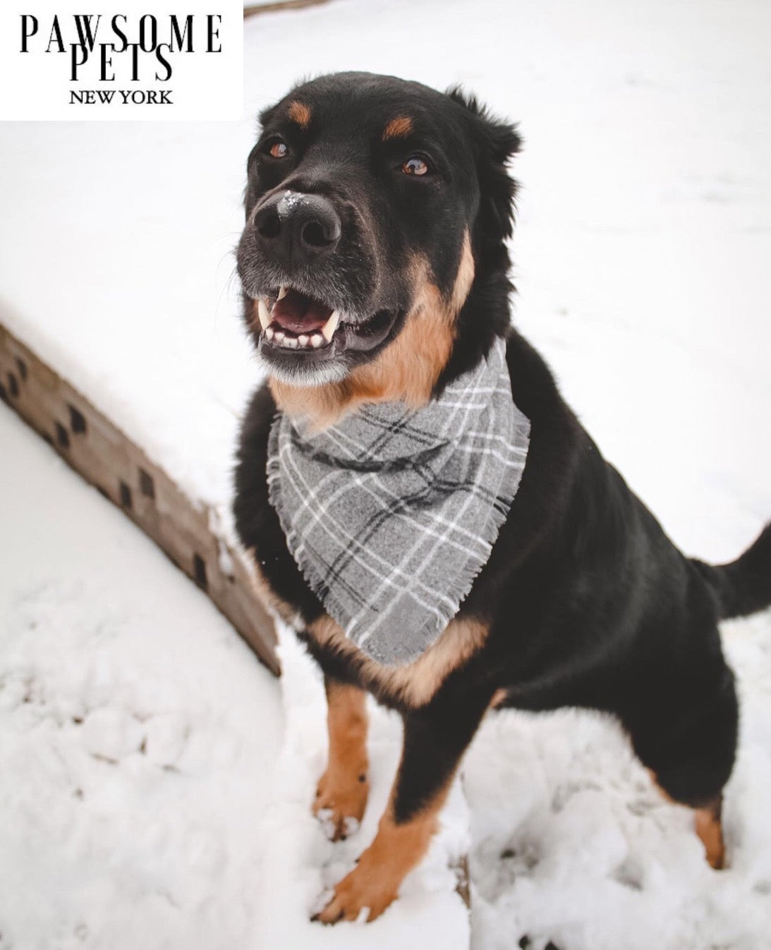 Handmade Rainer Bandana for pets, featuring Pawsome Pets logo in 100% cotton fabric, designed for comfort and style.