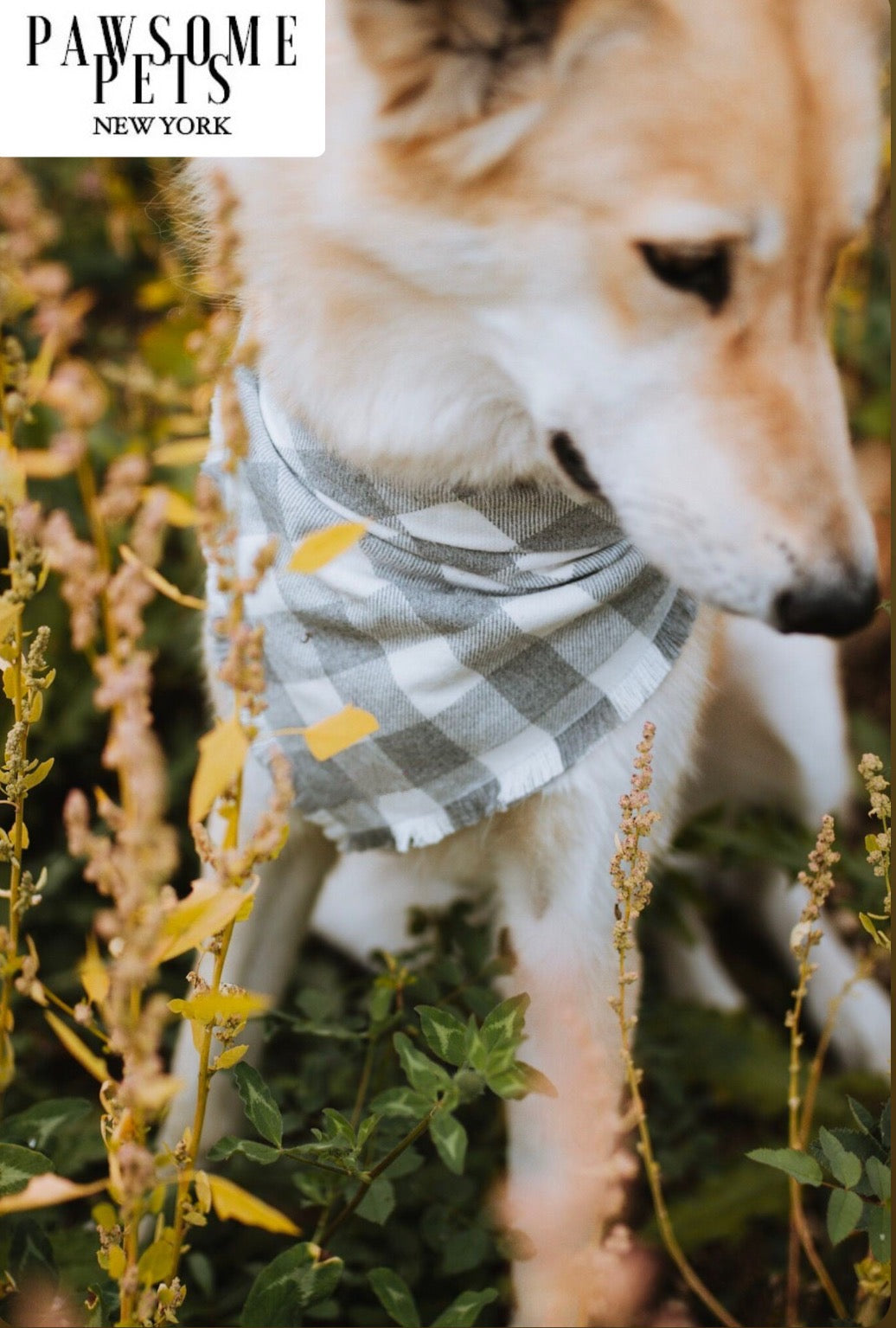 Handmade Sawyer Bandana for pets, featuring Pawsome Pets logo on 100% cotton fabric, designed for comfort and style.