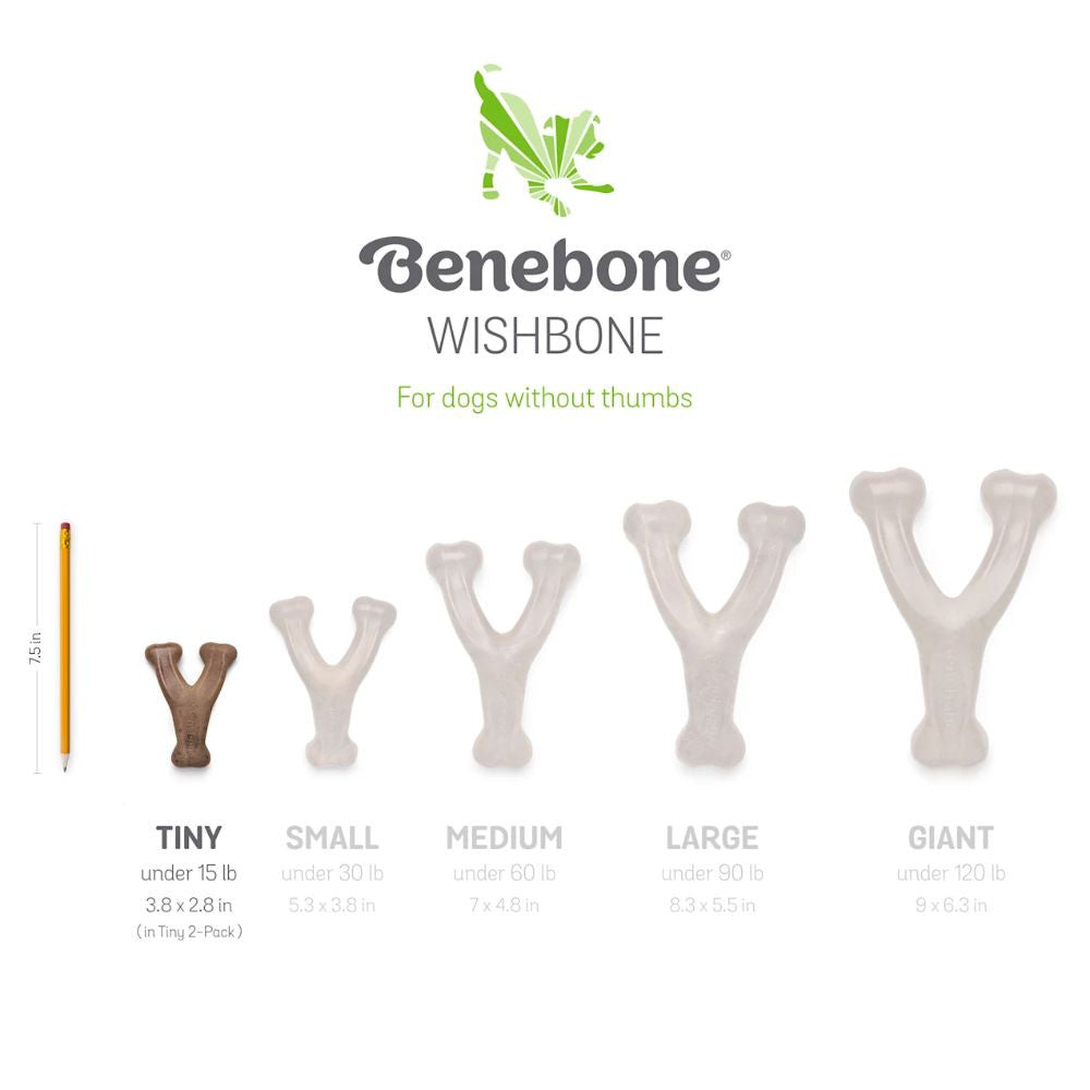 Benebone Puppy 2-Pack featuring a dental chew and wishbone chew toy in bacon flavor, designed for tiny dogs.